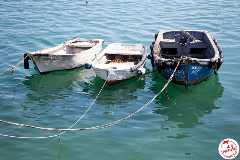 barques cascais