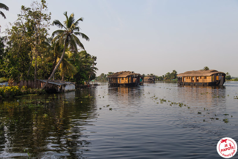 backwaters kerala