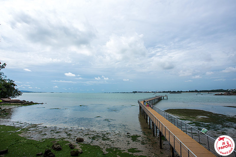 Ile Pulau Ubin