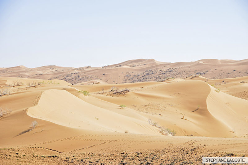 Désert de Maranjab